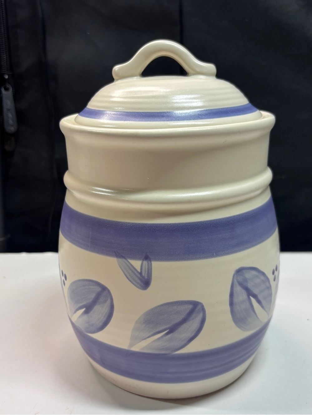 Pfaltzgraff Villa Flora Medium 9" Canister Grandmacore Retired Vtg Floral Blue